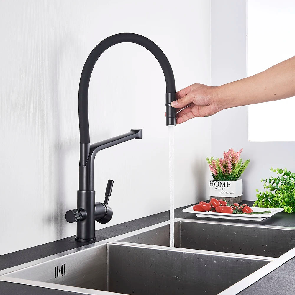 Onyx Arc- Pull Down Kitchen Faucet